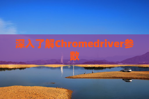 深入了解Chromedriver参数