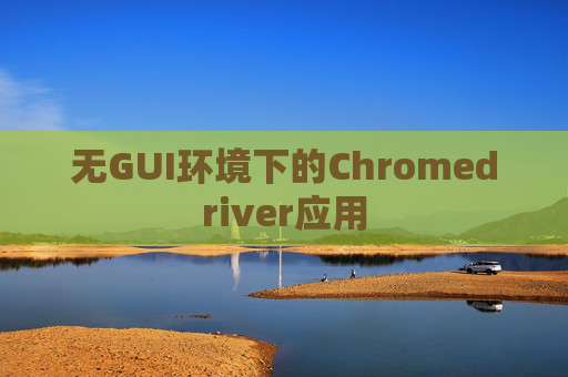 无GUI环境下的Chromedriver应用