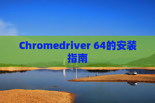 Chromedriver 64的安装指南