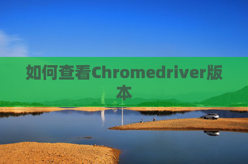 如何查看Chromedriver版本